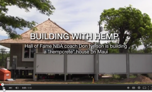 Building with hemp